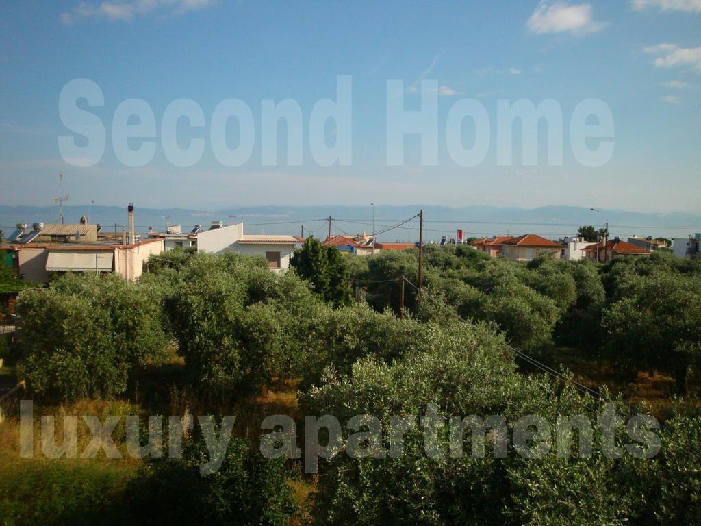 Second Home Skala Sotiros Oda fotoğraf